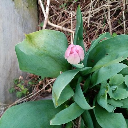 Peaule Chez Claudine 빌라 외부 사진