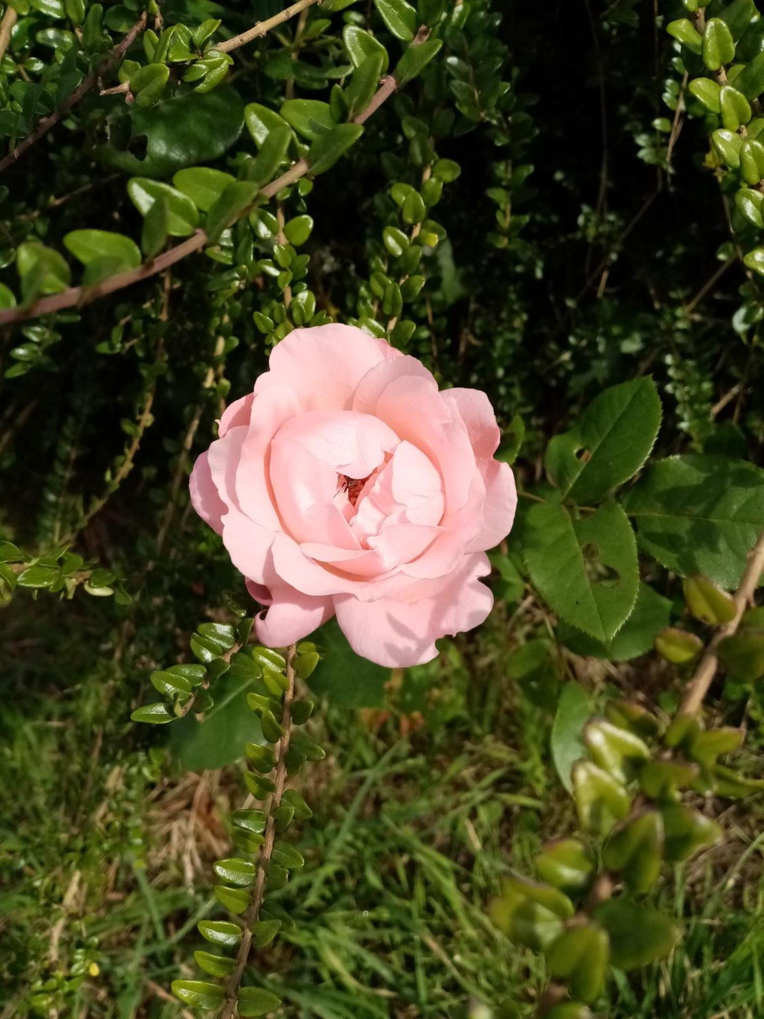 Peaule Chez Claudine 빌라 외부 사진